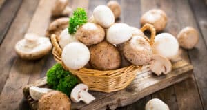 Put-the-plant-back-in-plant-based-eating-in-2024-with-mushrooms