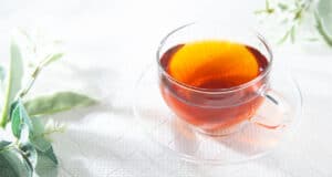 New-study-first-to-investigate-real-world-effects-of-Rooibos-in-humans-specifically-women