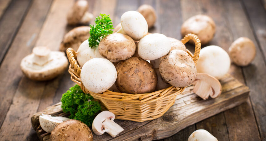 Are-you-a-fungi-fanatic--We-unpack-the-mushroom-mania-nutrition-trend