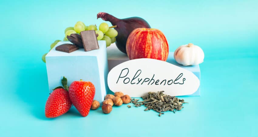 New-research-strikes-a-nerve-by-revealing-the-power-of-polyphenols
