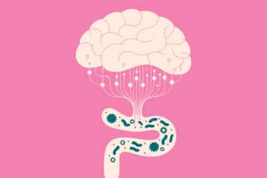 How Your Brain, Gut, and Immune System Work Together To Keep You Healthy